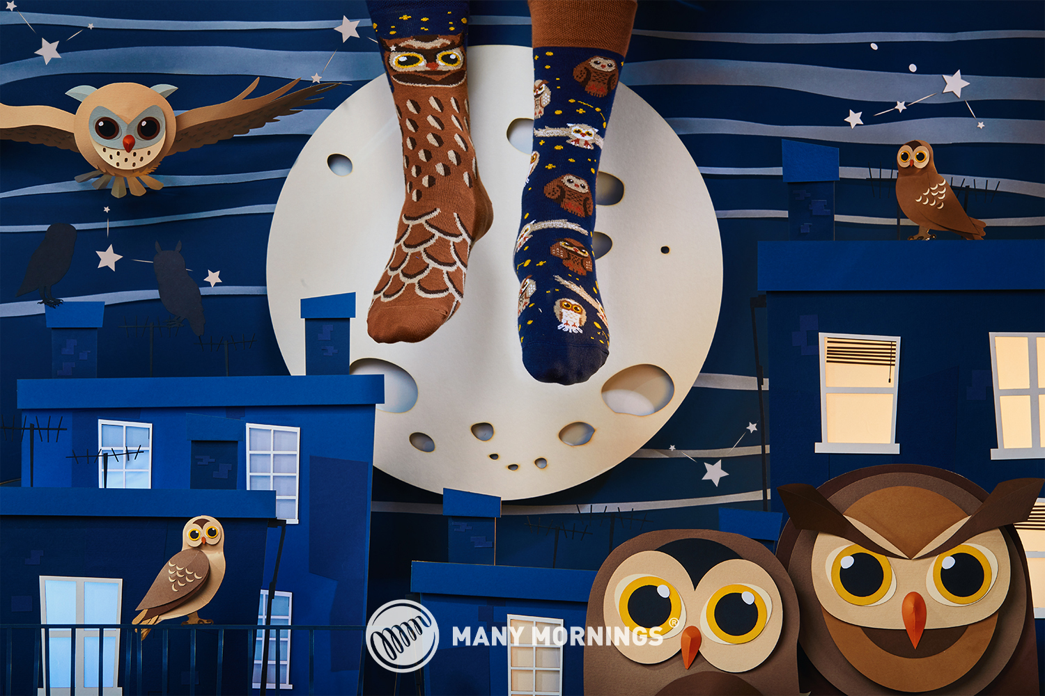 Owly Moly – Bild 2