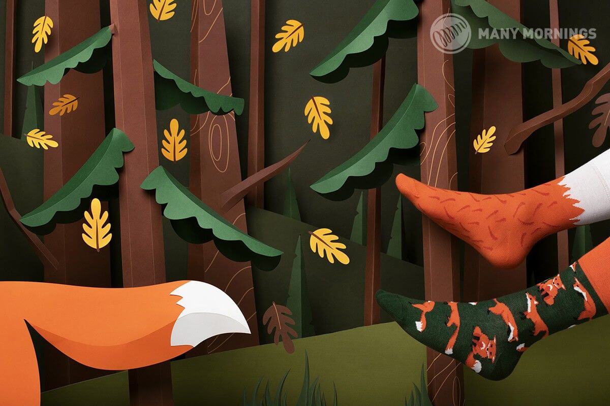 The Red Fox - Immagine 2