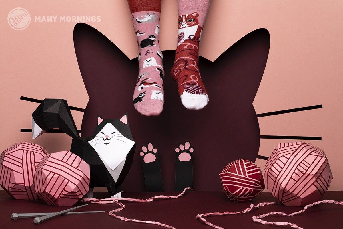Playful Cat - Image 2