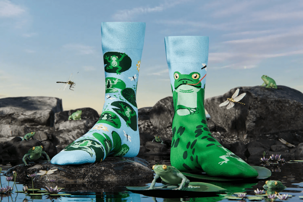 Froggy Frog - Immagine 2