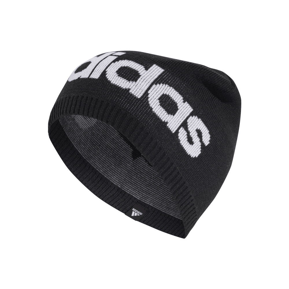 Daily Light Beanie