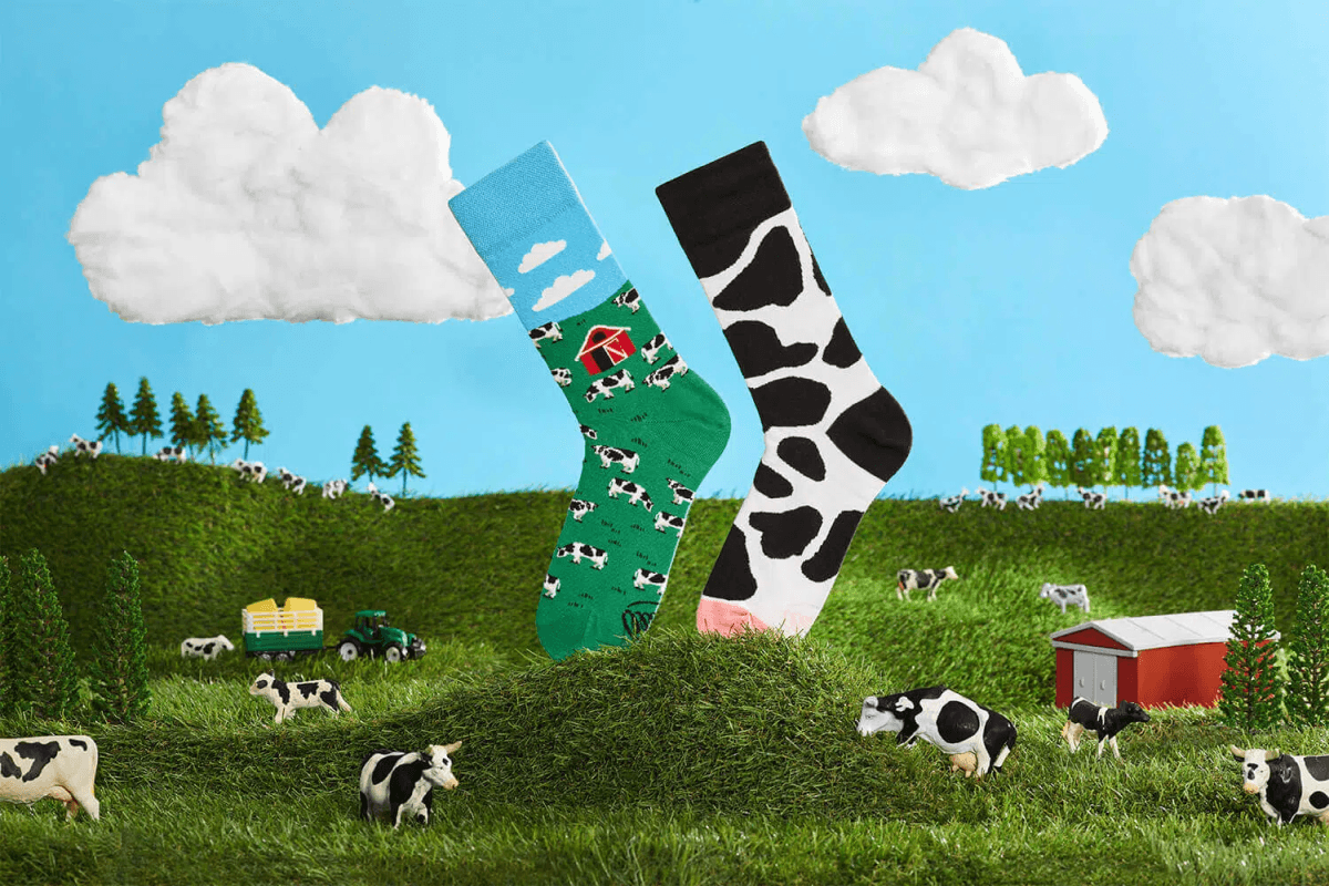 Holy Cow - Immagine 3