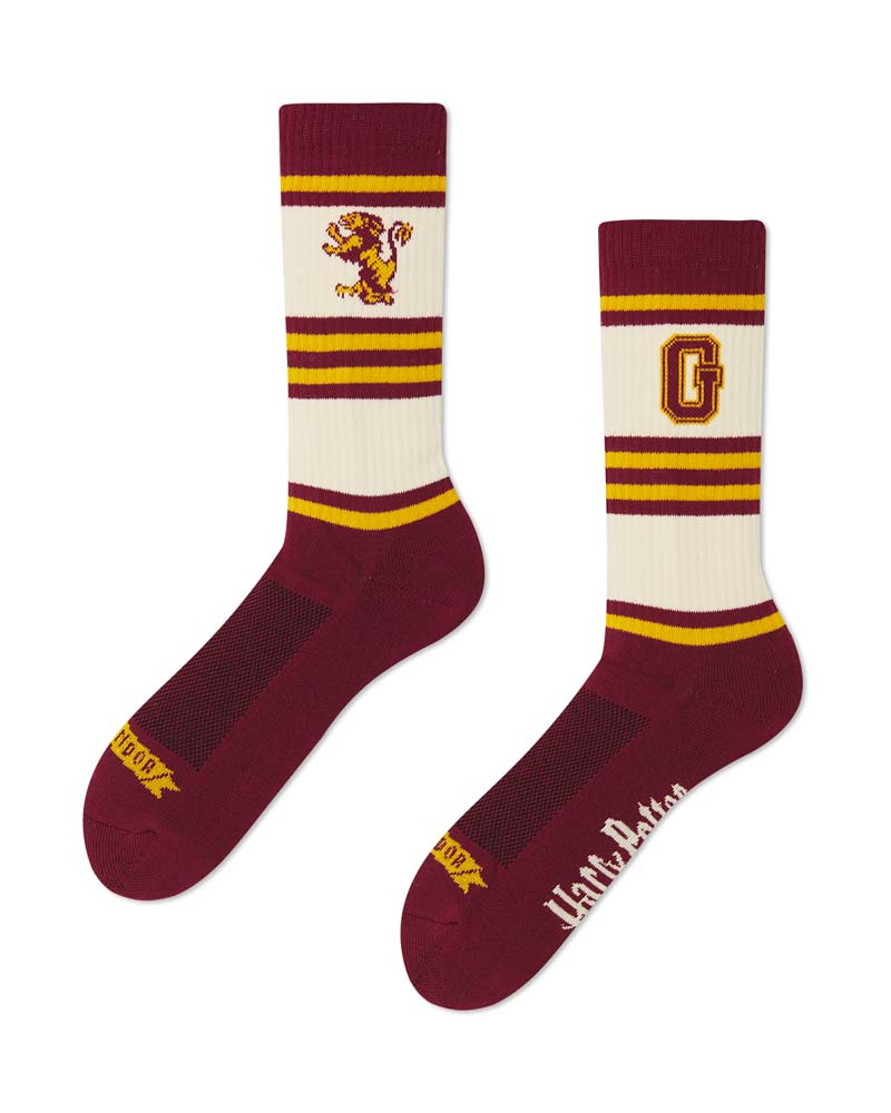 LA CASA DI GRYFFINDOR