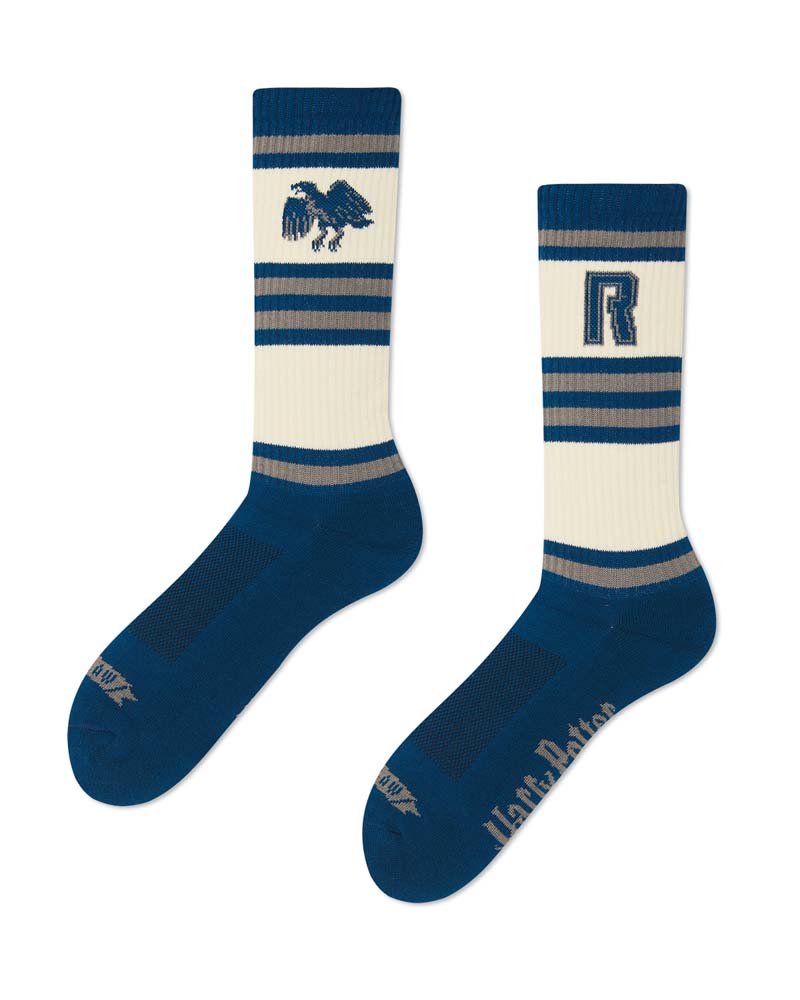 HOUSE RAVENCLAW